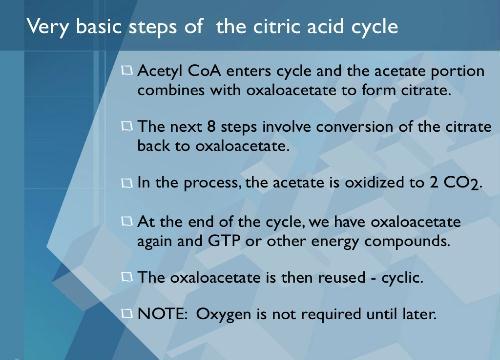 Sitrik asit döngüsünün çok temel aşamaları Asetil-CoA döngüye girer ve asetat kısmı okzalasetat