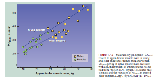 VO 2max