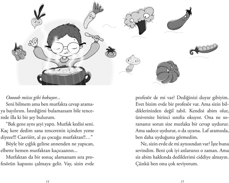 .. Mutfaktan da bir sonuç alamazsam sıra profesörün kapısını çalmaya gelir. Vay, sizin evde profesör de mi var? Dediğinizi duyar gibiyim. Evet bizim evde bir profesör var.