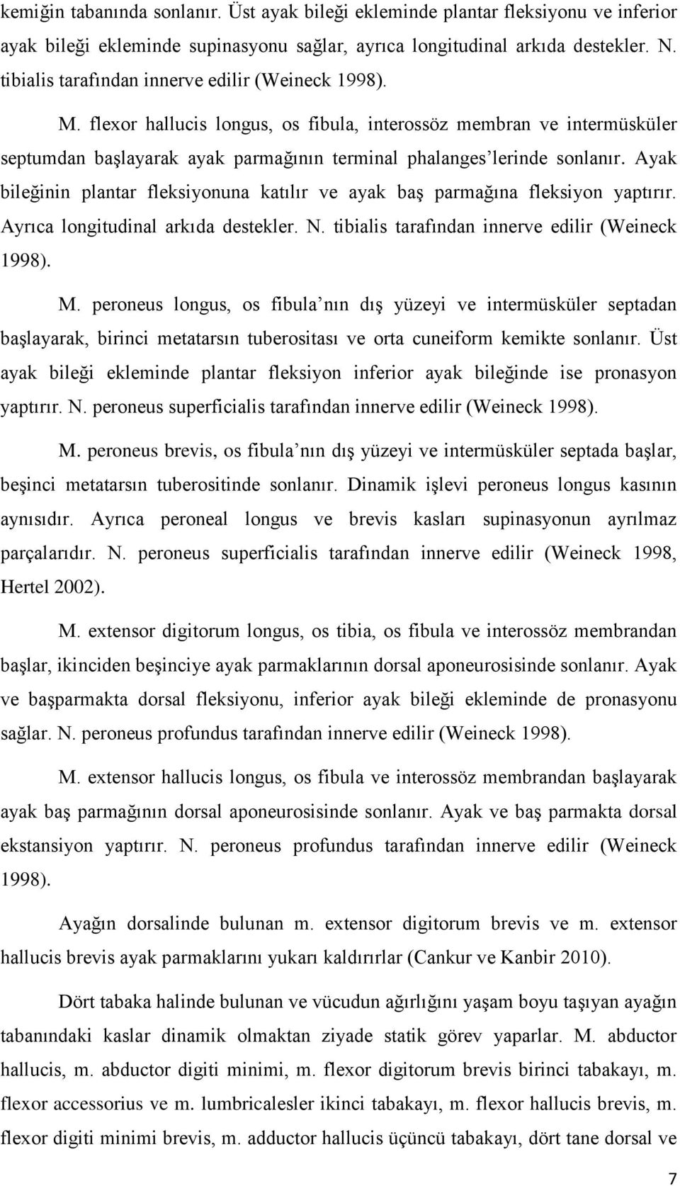 Ayak bileğinin plantar fleksiyonuna katılır ve ayak baş parmağına fleksiyon yaptırır. Ayrıca longitudinal arkıda destekler. N. tibialis tarafından innerve edilir (Weineck 1998). M.