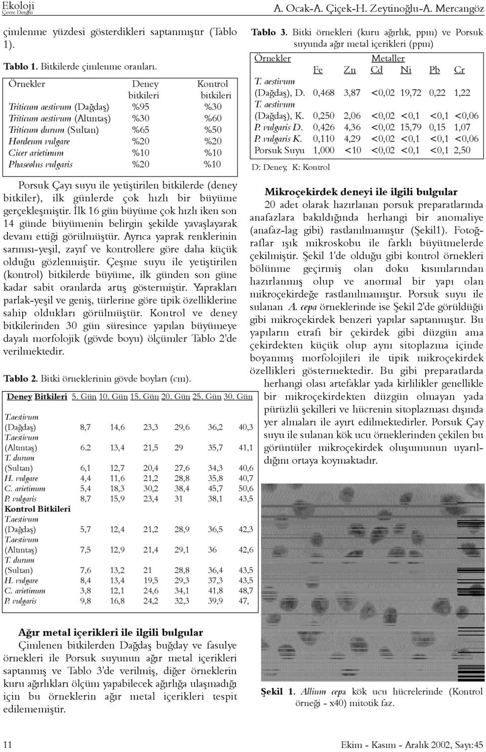 Phaseolus vulgaris %20 %10 Porsuk Çayý suyu ile yetiþtirilen bitkilerde (deney bitkiler), ilk günlerde çok hýzlý bir büyüme gerçekleþmiþtir.