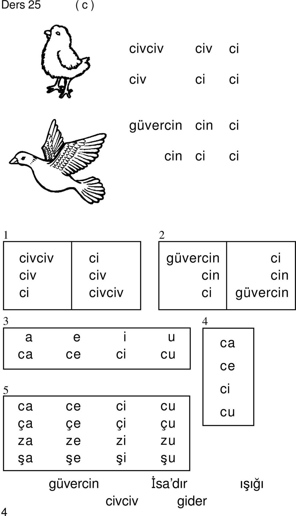 güvercin 3 4 5 a ca ca ça za sca e ce ce çe ze sce i ci ci çi zi