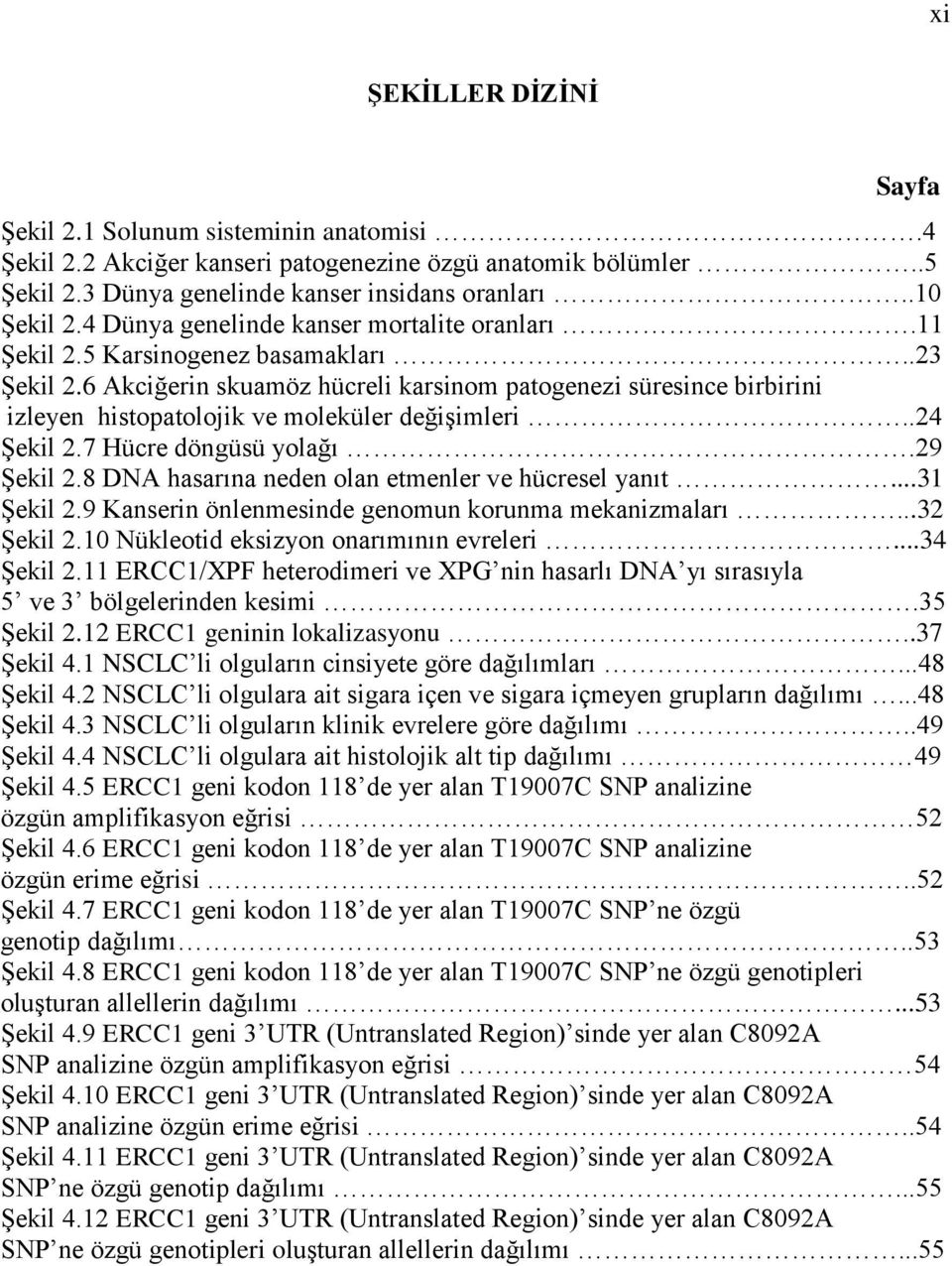 6 Akciğerin skuamöz hücreli karsinom patogenezi süresince birbirini izleyen histopatolojik ve moleküler değişimleri..24 Şekil 2.7 Hücre döngüsü yolağı.29 Şekil 2.