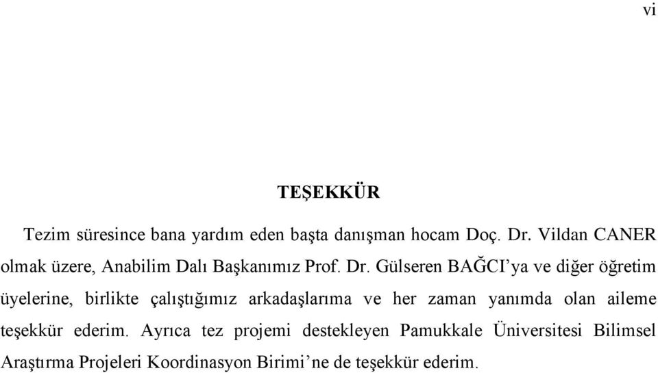 Gülseren BAĞCI ya ve diğer öğretim üyelerine, birlikte çalıştığımız arkadaşlarıma ve her zaman