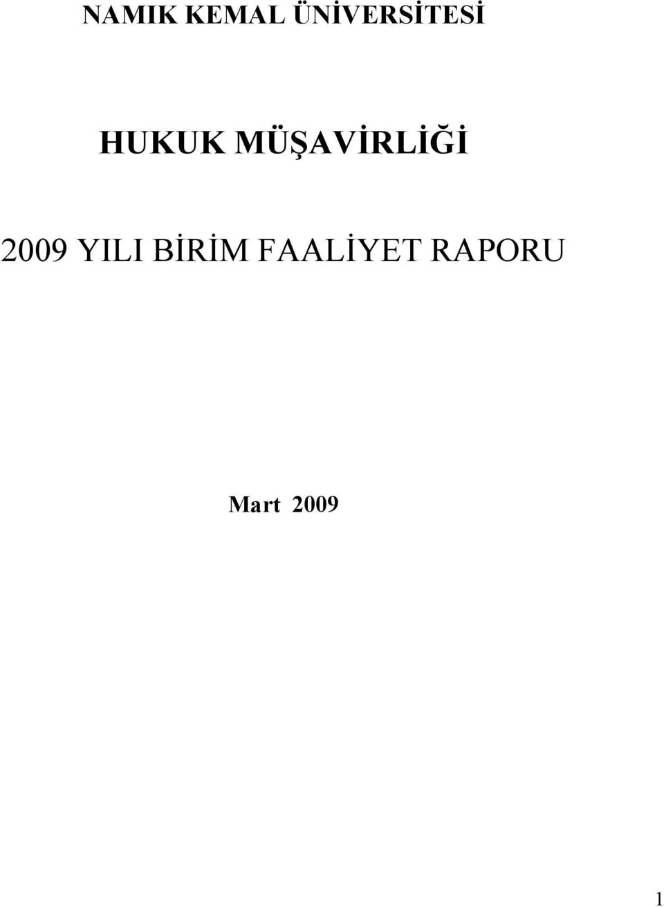 MÜŞAVĐRLĐĞĐ 2009 YILI