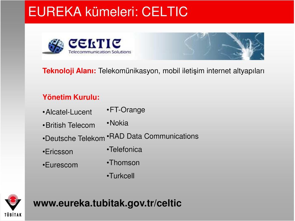 FT-Orange British Telecom Nokia Deutsche Telekom RAD Data