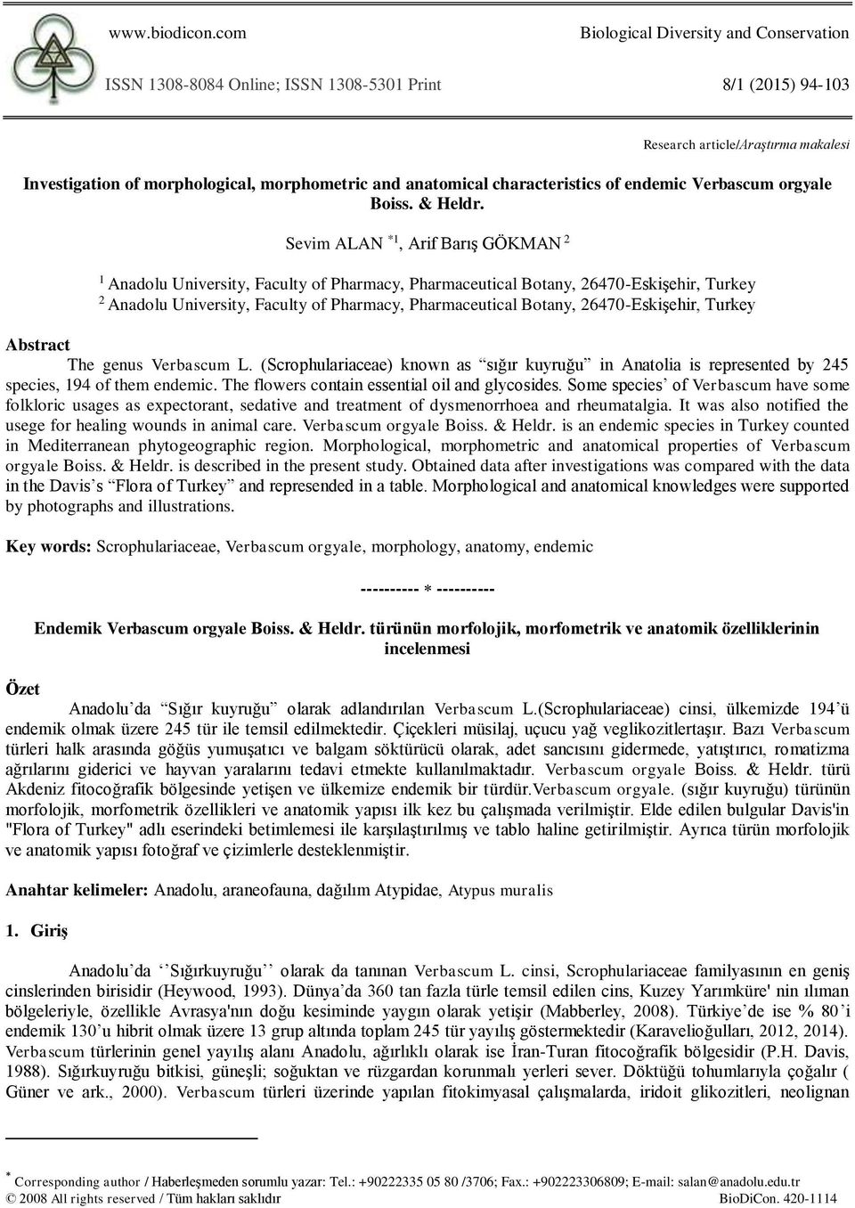 characteristics of endemic Verbascum orgyale Boiss. & Heldr.