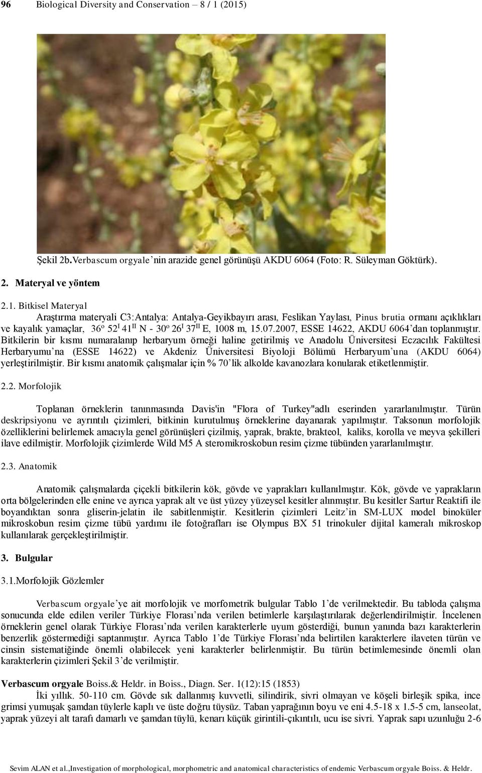 arası, Feslikan Yaylası, Pinus brutia ormanı açıklıkları ve kayalık yamaçlar, 36 o 52 I 41 II N - 30 o 26 I 37 II E, 1008 m, 15.07.2007, ESSE 14622, AKDU 6064 dan toplanmıştır.