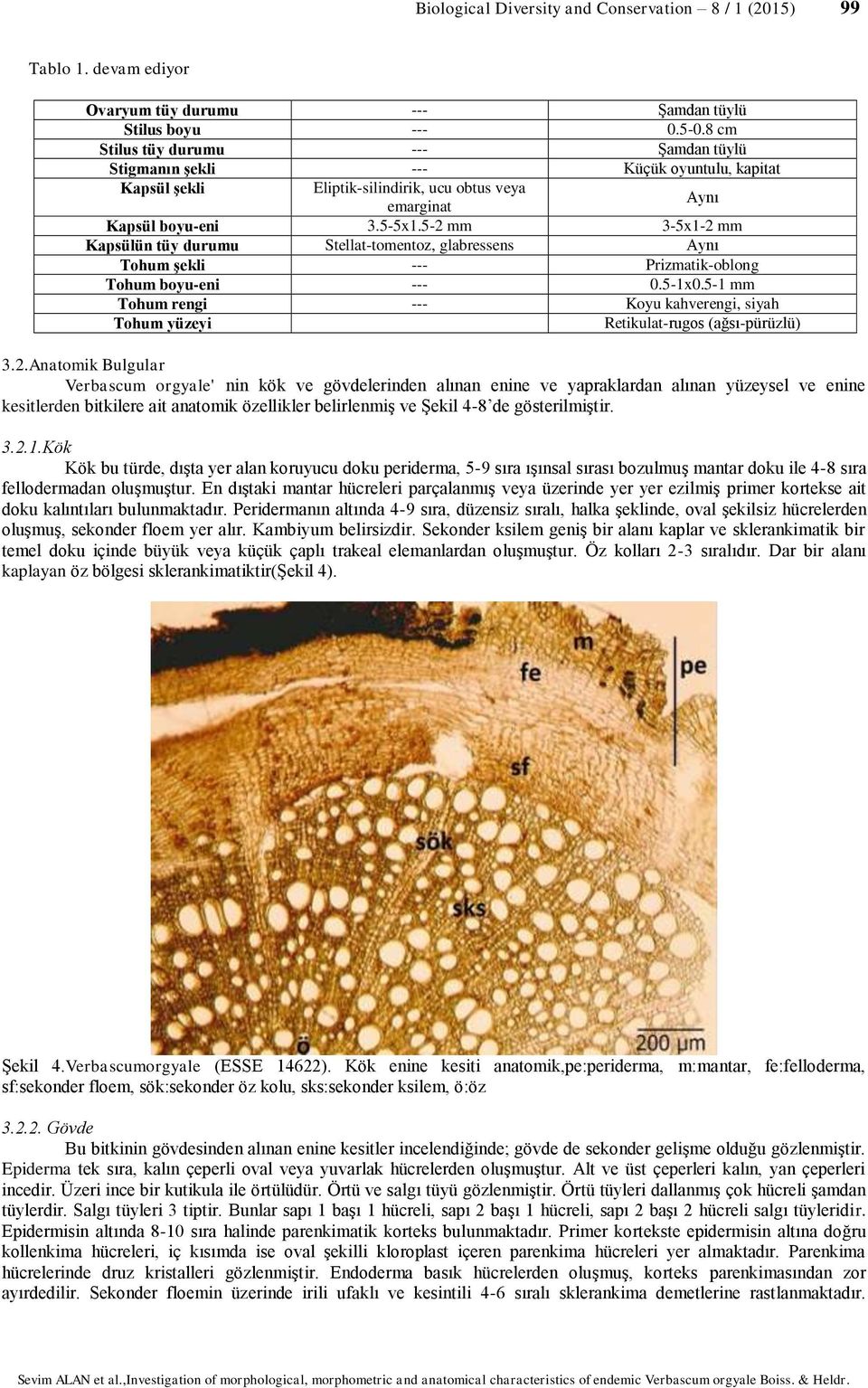 5-2 mm 3-5x1-2 mm Kapsülün tüy durumu Stellat-tomentoz, glabressens Aynı Tohum şekli --- Prizmatik-oblong Tohum boyu-eni --- 0.5-1x0.