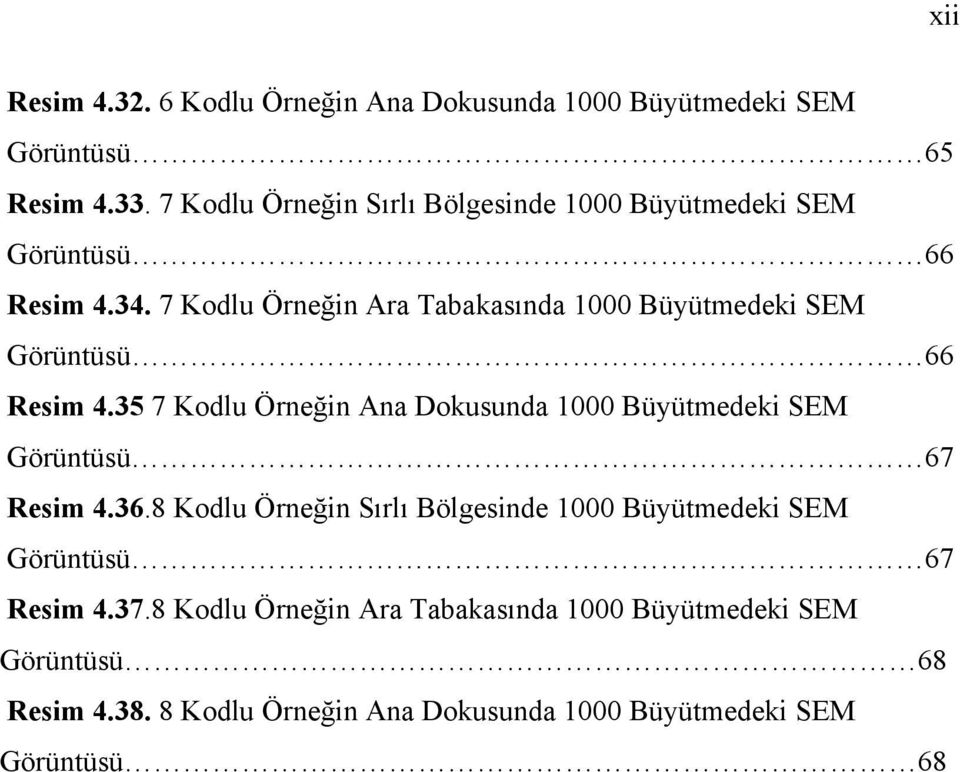 7 Kodlu Örneğin Ara Tabakasında 1000 Büyütmedeki SEM Görüntüsü 66 Resim 4.