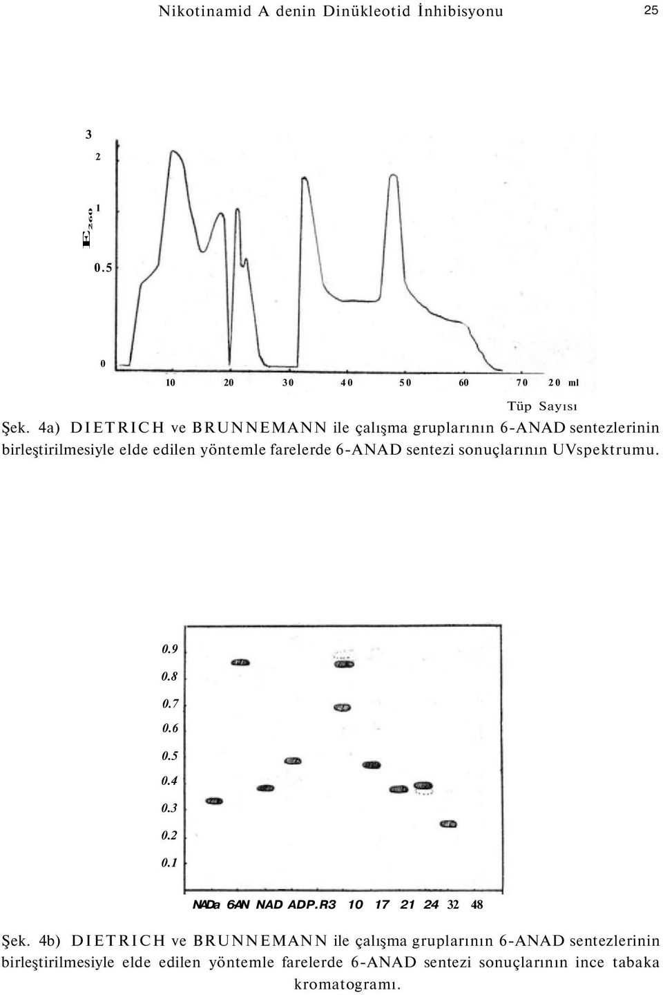 6-ANAD sentezi sonuçlarının UVspektrumu. 0.9 NADa 6-AN NAD ADP.R3 10 17 21 24 32 48 Şek.