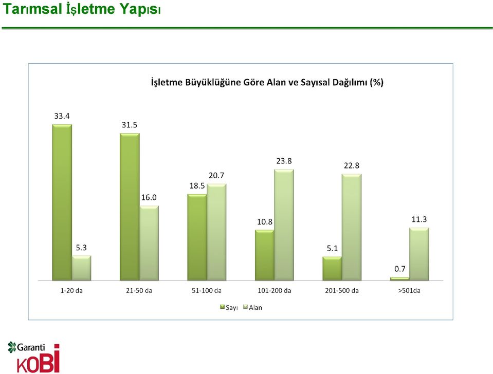 Yapısı