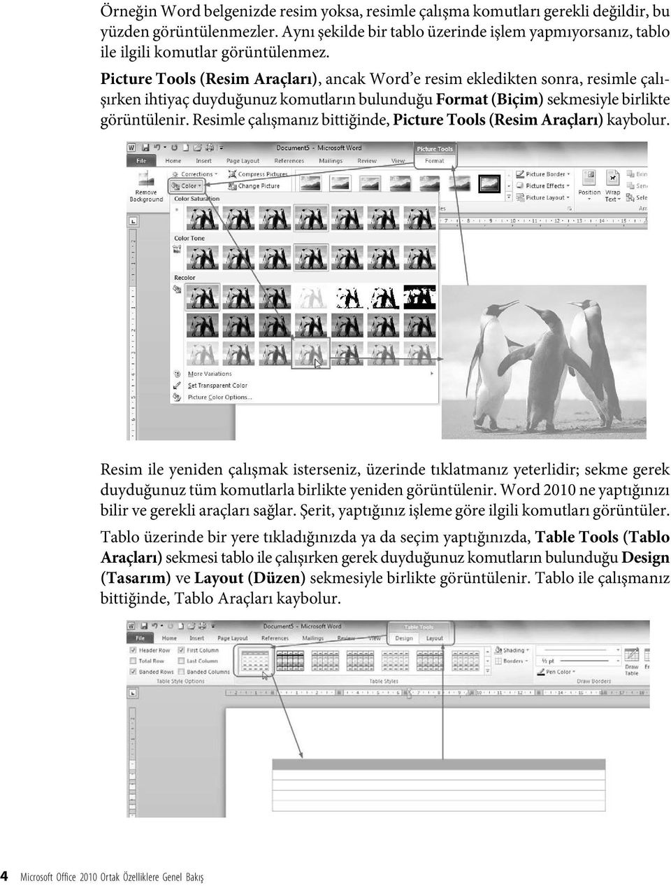 Picture Tools (Resim Araçları), ancak Word e resim ekledikten sonra, resimle çalışırken ihtiyaç duyduğunuz komutların bulunduğu Format (Biçim) sekmesiyle birlikte görüntülenir.