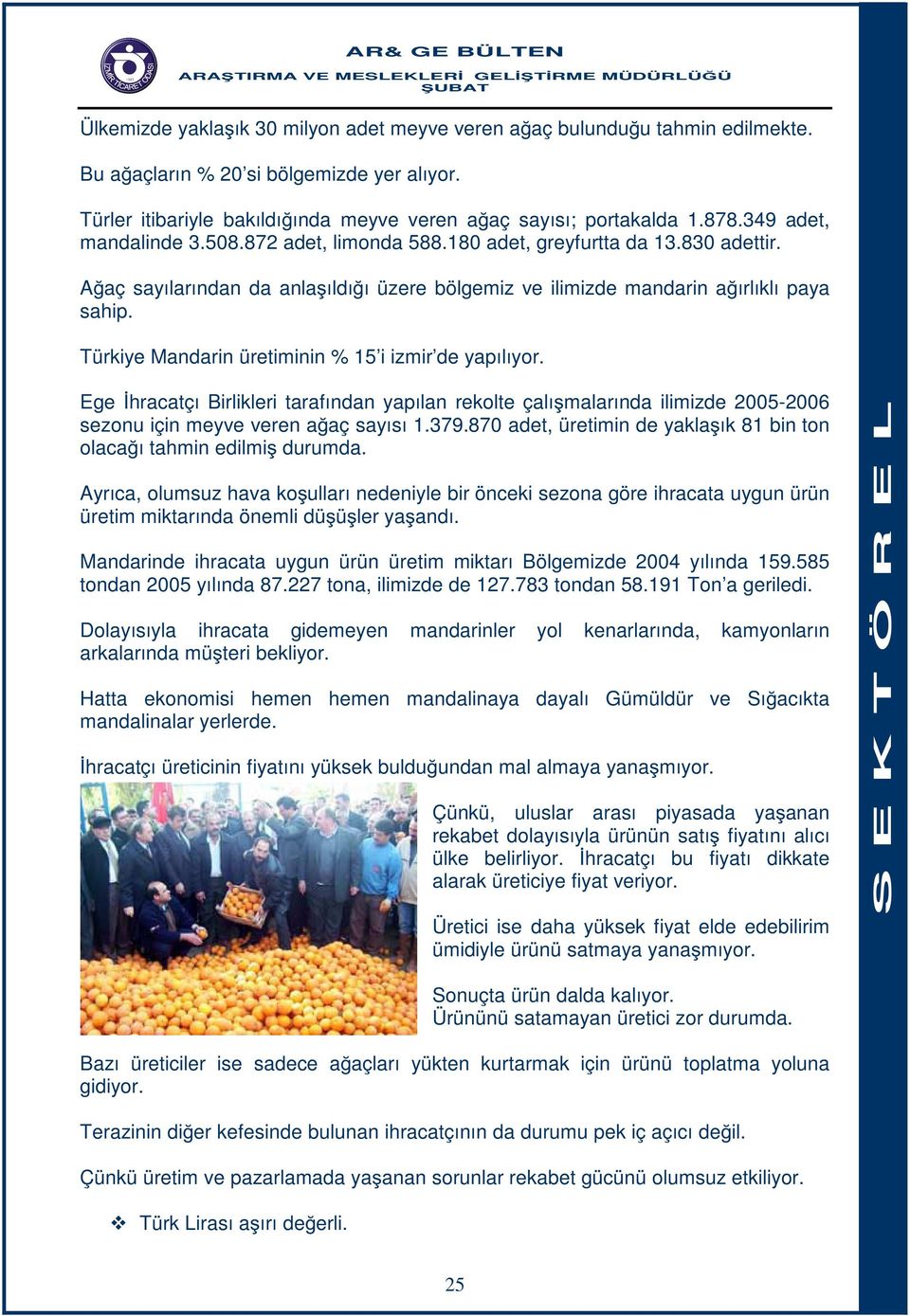 Türkiye Mandarin üretiminin % 15 i izmir de yapılıyor. Ege İhracatçı Birlikleri tarafından yapılan rekolte çalışmalarında ilimizde 2005-2006 sezonu için meyve veren ağaç sayısı 1.379.