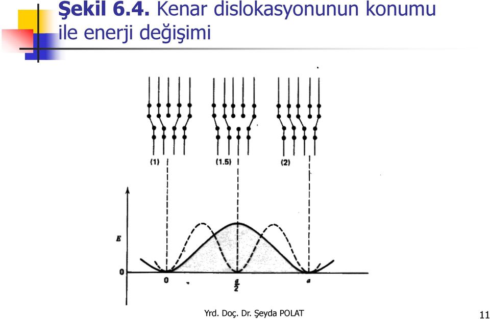 dislokasyonunun