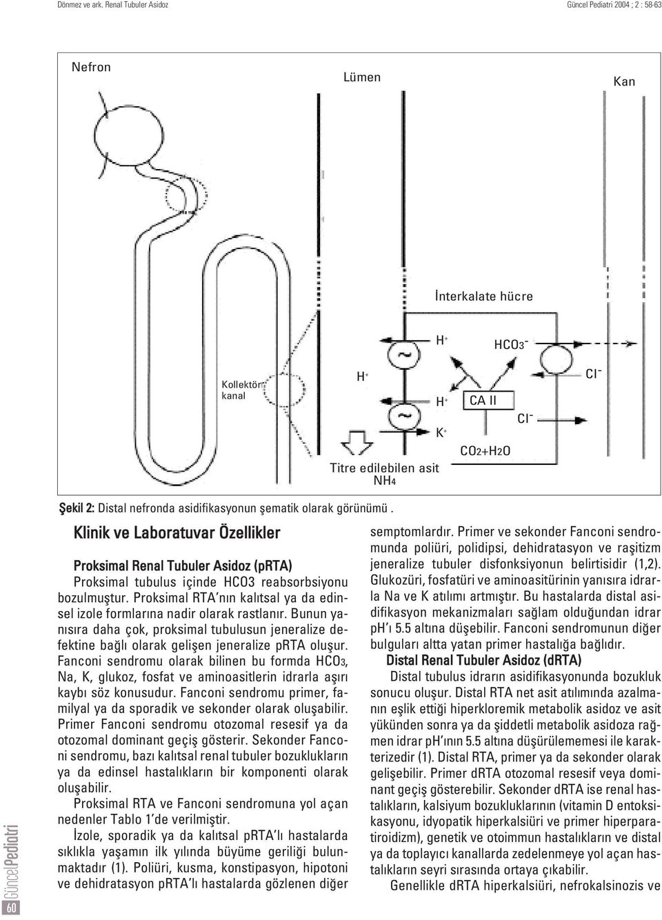 flematik olarak görünümü. Klinik ve Laboratuvar Özellikler Proksimal Renal Tubuler Asidoz (prta) Proksimal tubulus içinde HCO3 reabsorbsiyonu bozulmufltur.