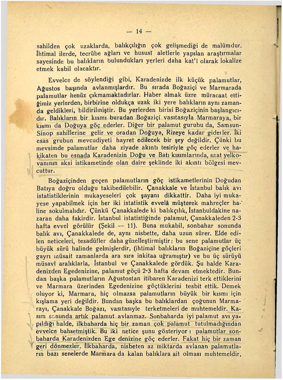 Evvelce de söylendiği gibi, Karadenizde ilk küçük palamutlar, Ağustos başında avlanmışlardır. Bu sırada Boğaziçi ve Marmarada palamutlar henüz çıkmamaktadırlar.