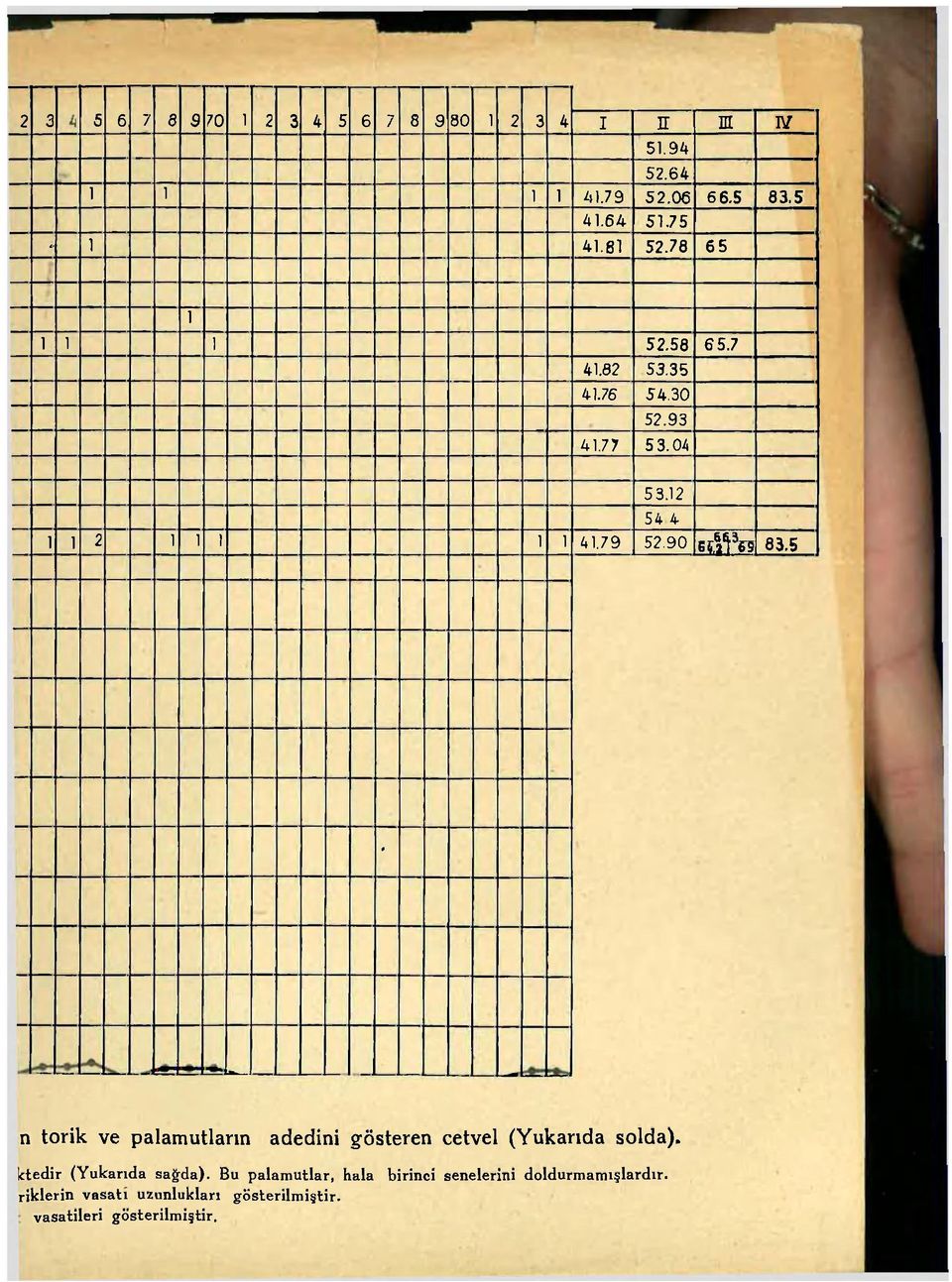 79 52 90 s^vs 83.5 54 4 - >W n torik ve palamutların adedini gösteren cetvel (Yukarıda solda).