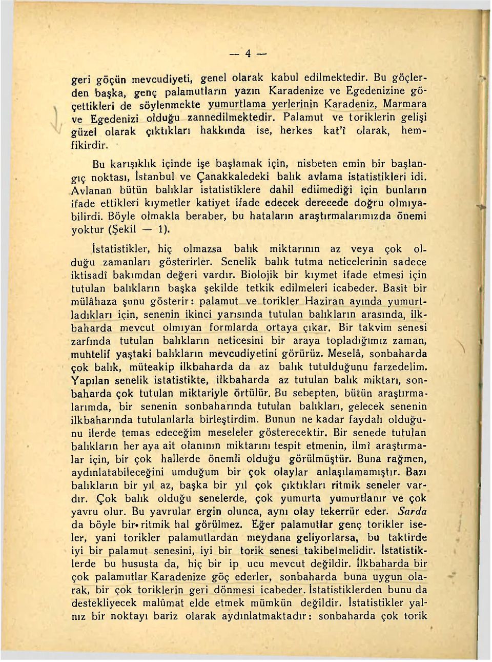 Palamut ve toriklerin gelişi güzel olarak çıktıkları hakkında ise, herkes kat'î olarak, hemfikirdir.