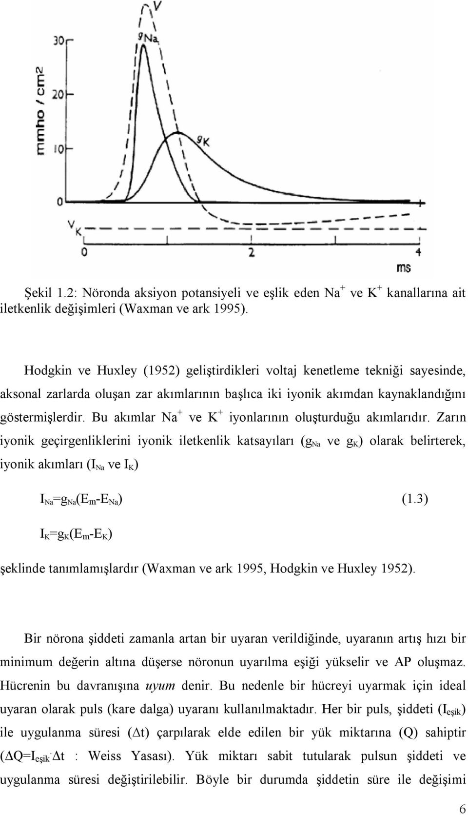 Bu akımlar Na + ve K + iyonlarının oluşturduğu akımlarıdır.