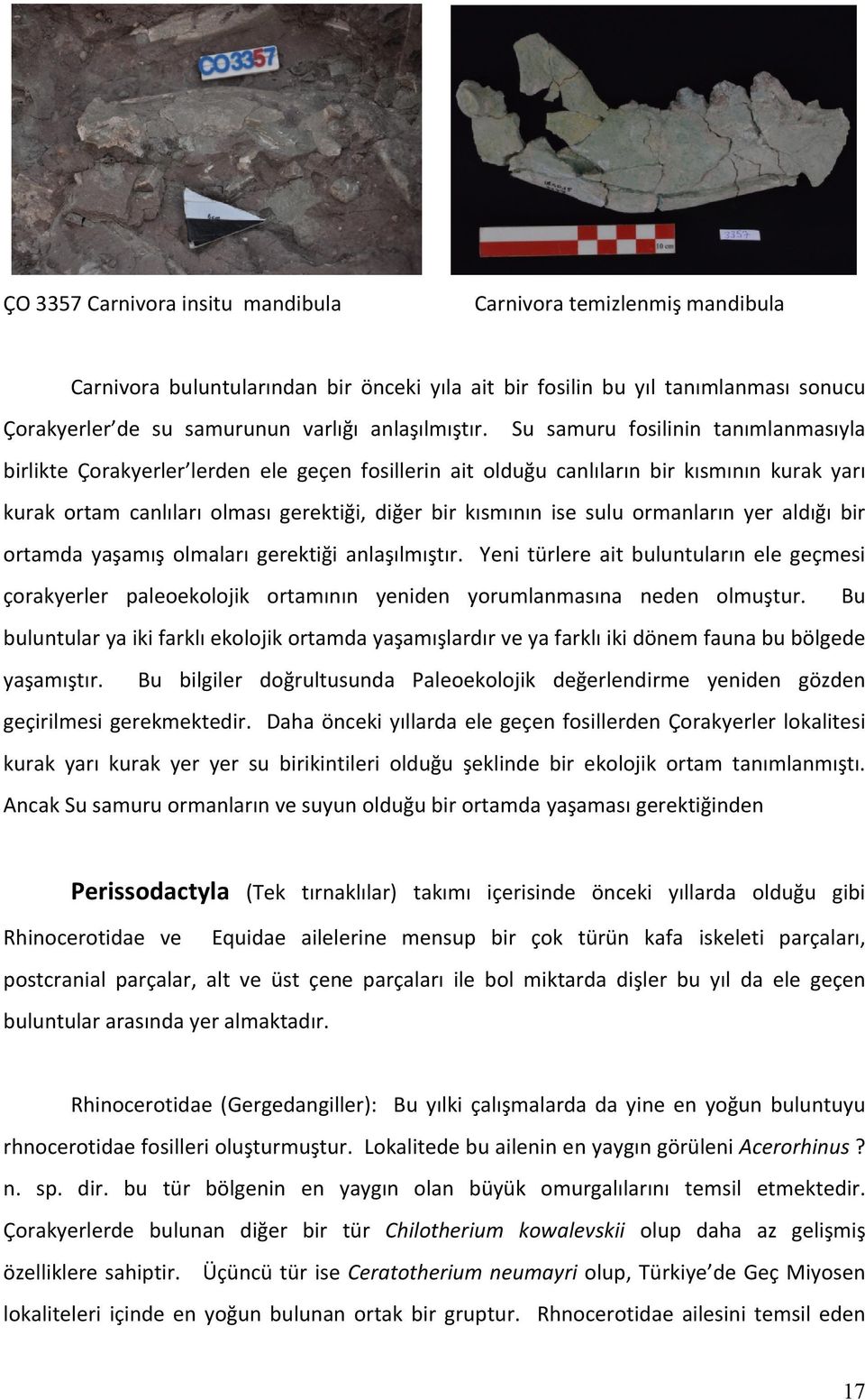 Su samuru fosilinin tanımlanmasıyla birlikte Çorakyerler lerden ele geçen fosillerin ait olduğu canlıların bir kısmının kurak yarı kurak ortam canlıları olması gerektiği, diğer bir kısmının ise sulu