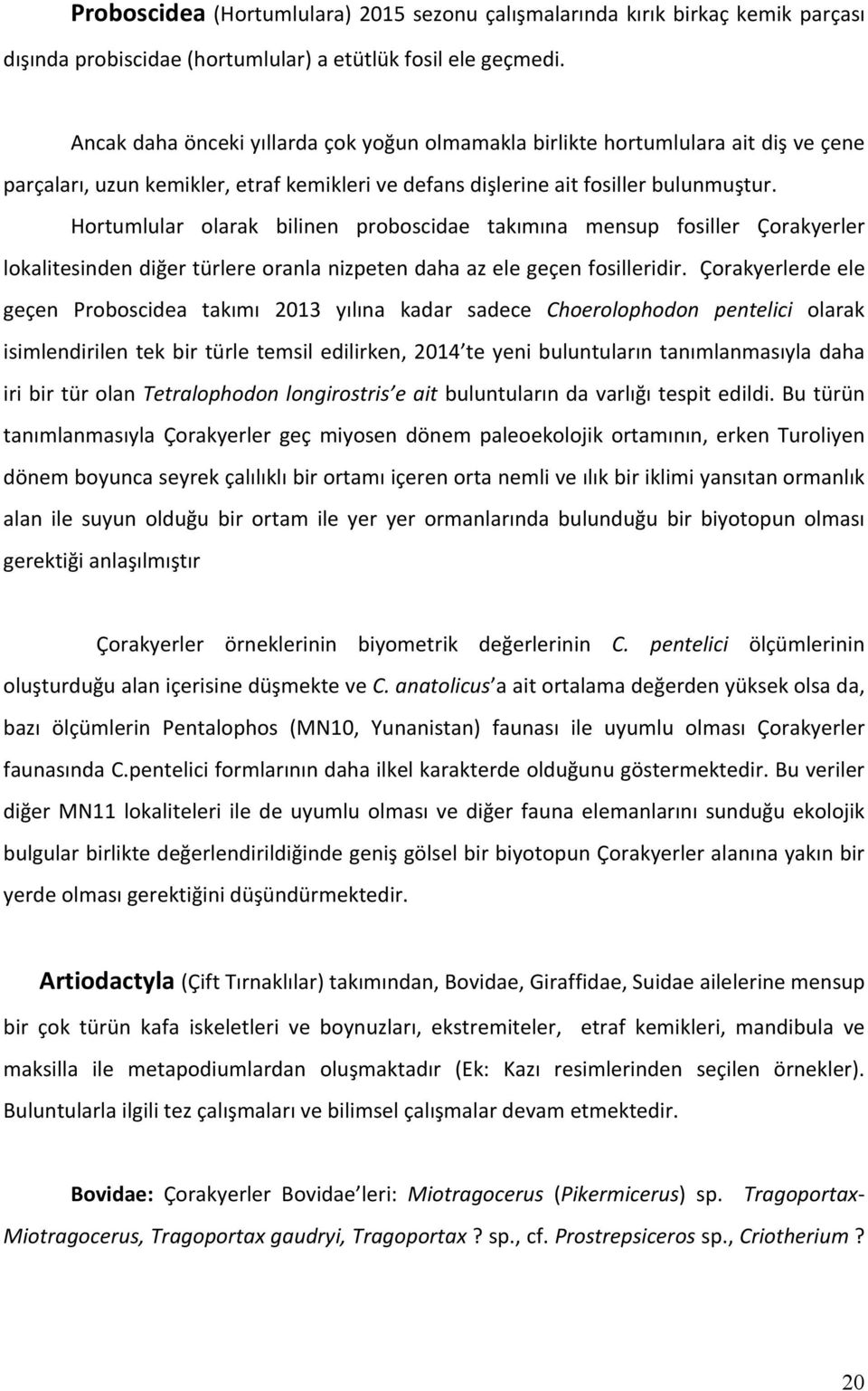 Hortumlular olarak bilinen proboscidae takımına mensup fosiller Çorakyerler lokalitesinden diğer türlere oranla nizpeten daha az ele geçen fosilleridir.