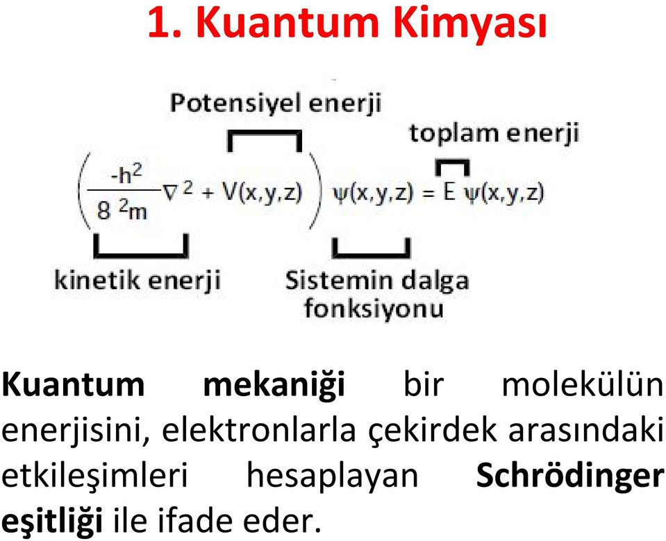 çekirdek arasındaki etkileşimleri