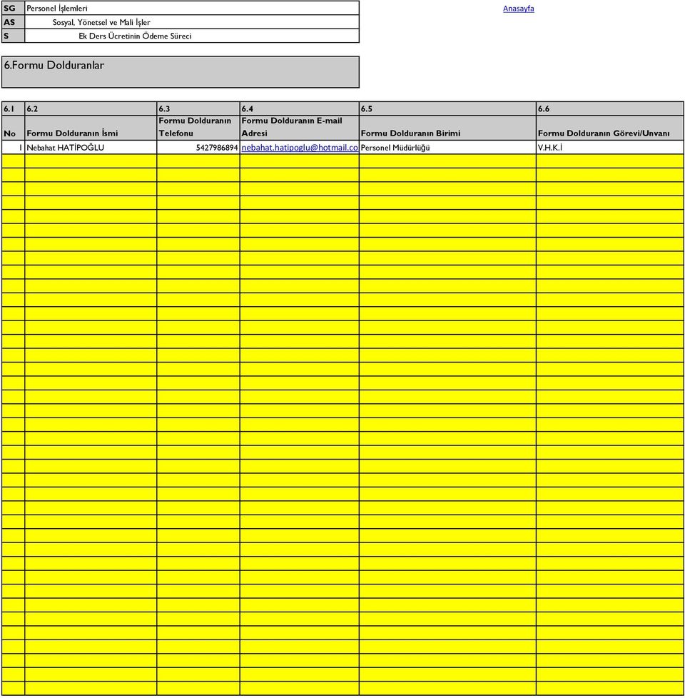 E-mail Adresi Formu Dolduranın Birimi Formu Dolduranın Görevi/Unvanı 1