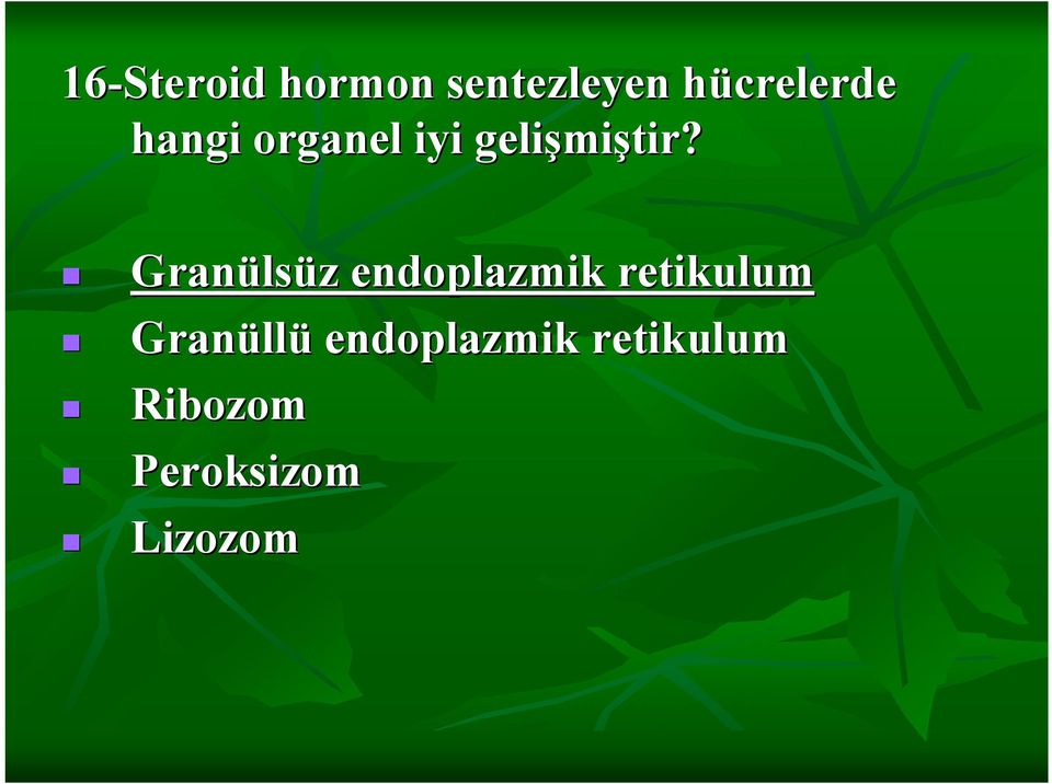 Granüls lsüz endoplazmik retikulum Granüll