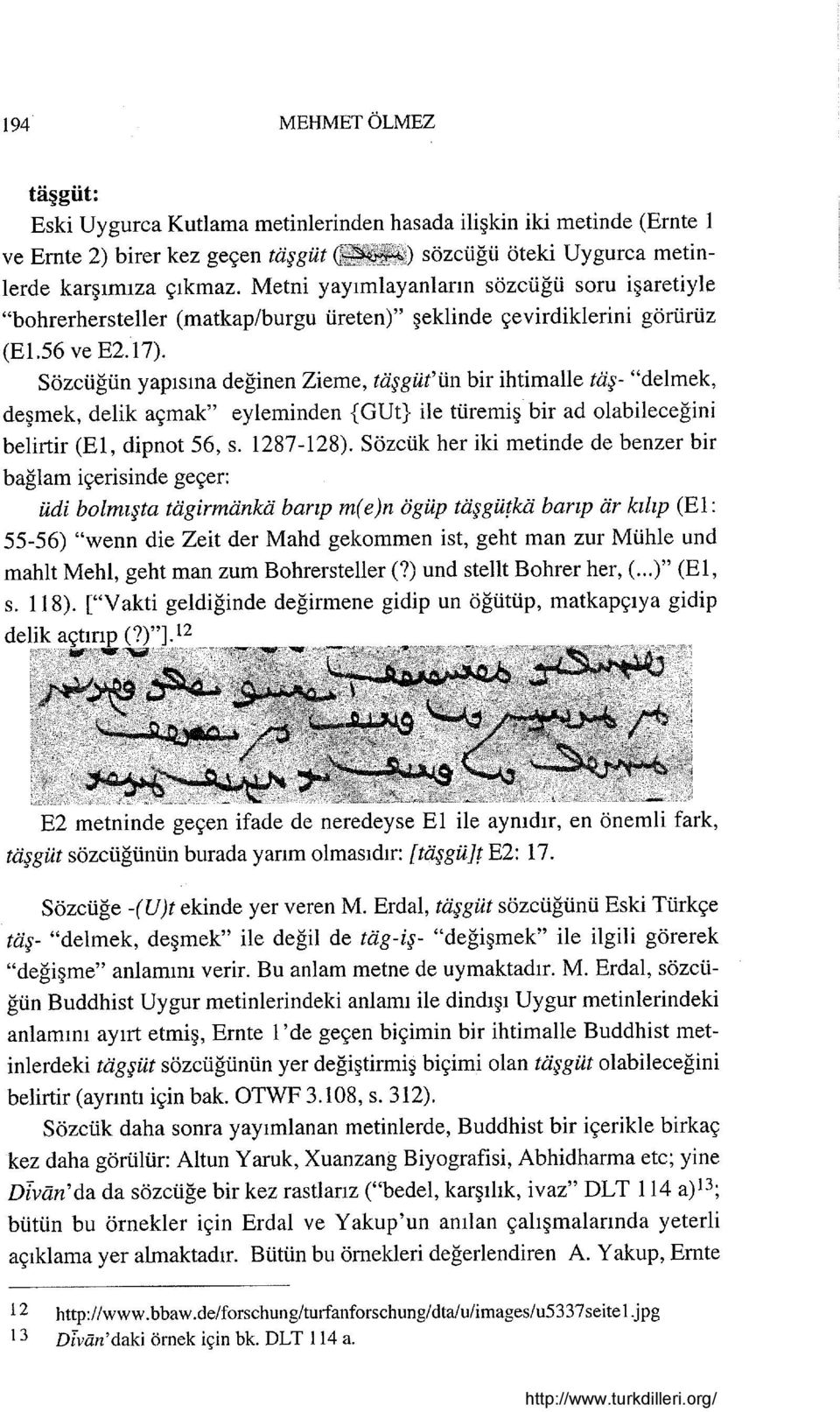 Sözcüğün yapısına değinen Zieme, taşgüt'ün bir ihtimalle taş- "delmek, deşmek, delik açmak" eyleminden {GUt} ile türemiş bir ad olabileceğini belirtir (El, dipnot 56, s. 1287-128).