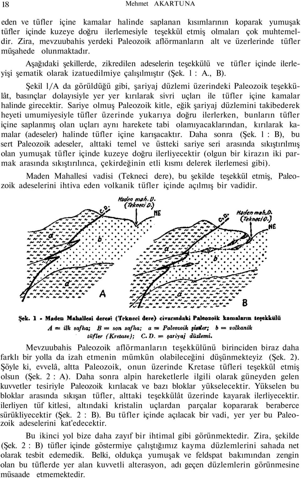 Aşağıdaki şekillerde, zikredilen adeselerin teşekkülü ve tüfler içinde ilerleyişi şematik olarak izatuedilmiye çalışılmıştır (Şek. l : A., B).