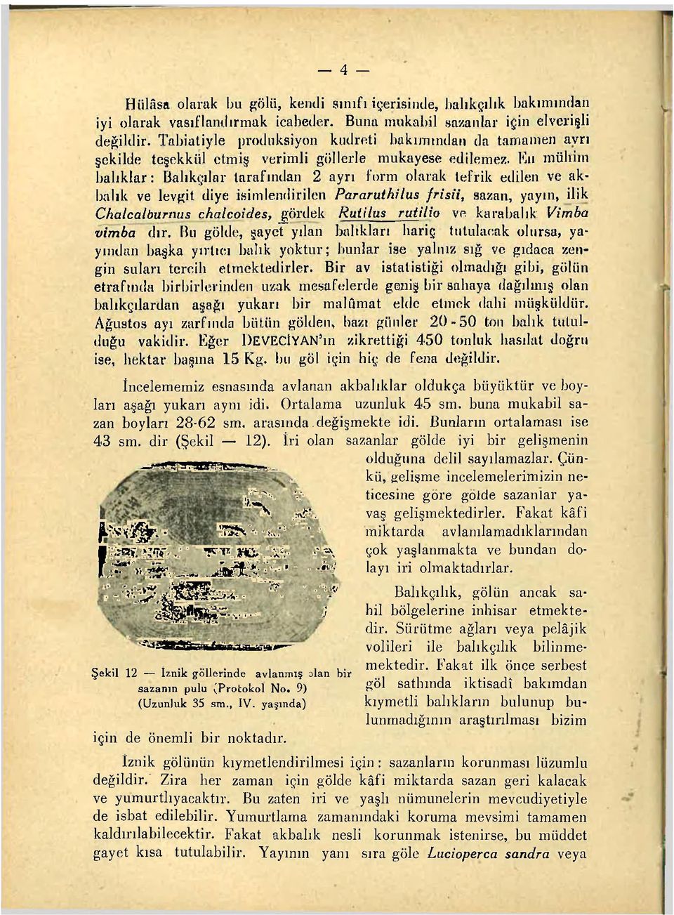 Eıı mühim balıklar: Balıkçılar tarafından 2 ayrı form olarak tefrik edilen ve akbalık ve levgil diye isimlendirilen Pararuihilus frisii, sazan, yayın, ilik Chalcalburmıs chcılcoicles, gördek Rutilus