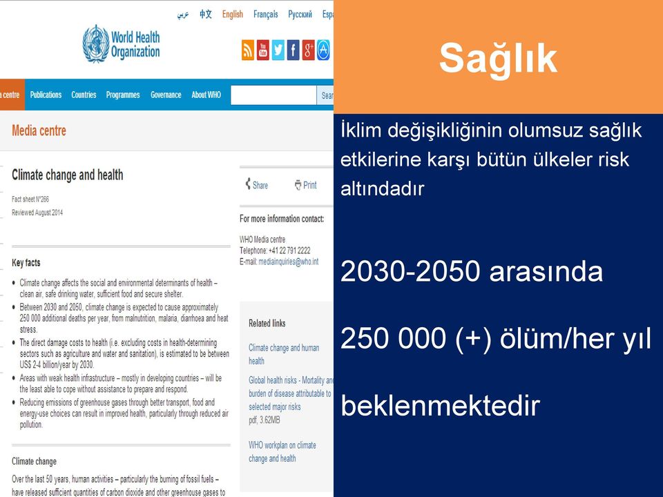 ülkeler risk altındadır 2030-2050