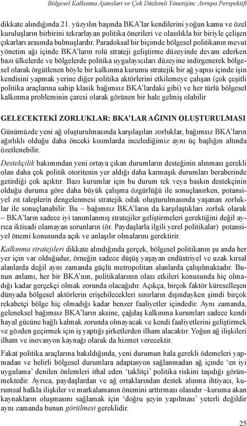 Paradoksal bir biçimde bölgesel politikanın mevut yönetim ağı içinde BKA ların rolü strateji geliştirme düzeyinde devam ederken bazı ülkelerde ve bölgelerde politika uygulayıcıları düzeyine