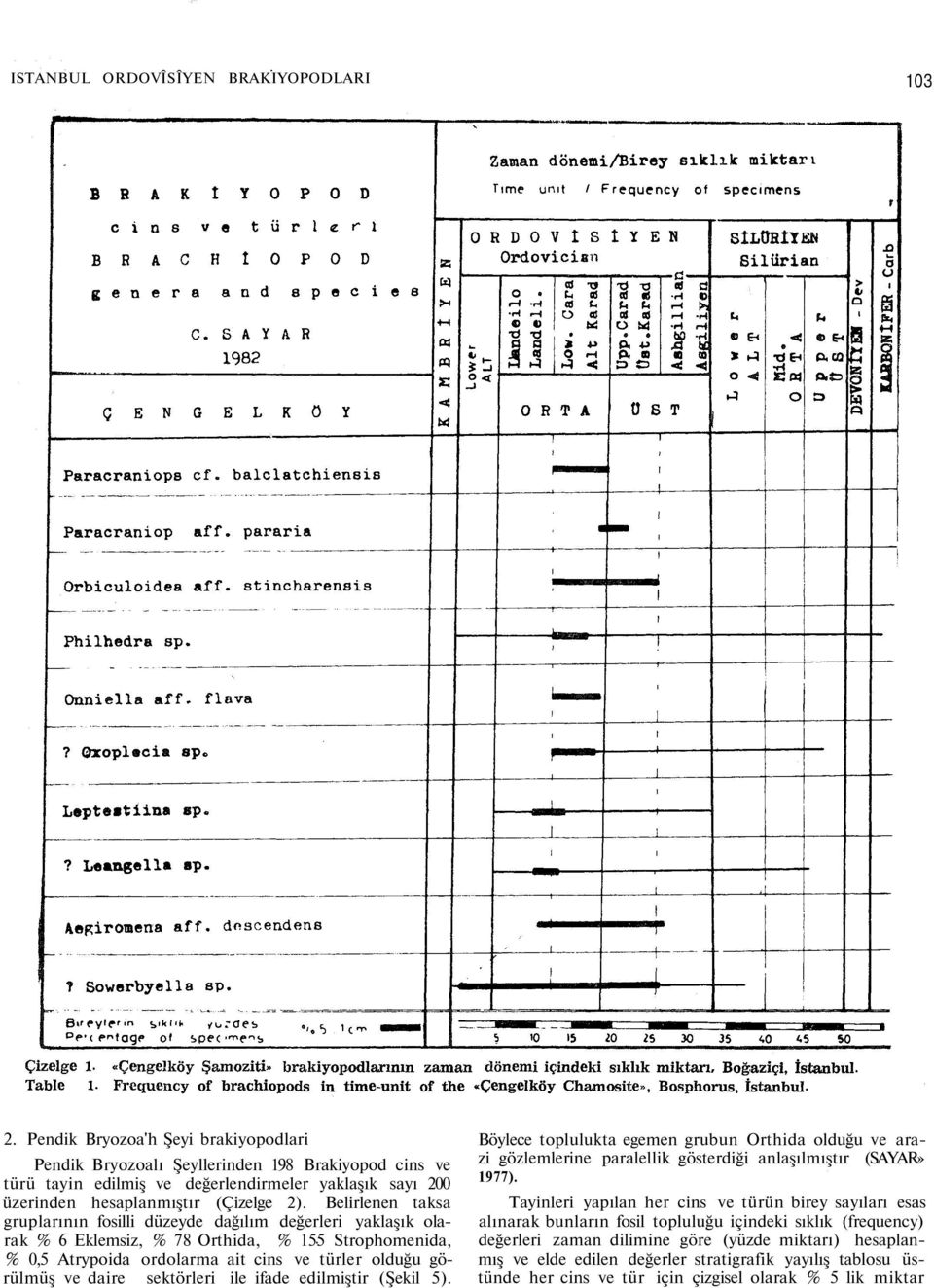 Belirlenen taksa gruplarının fosilli düzeyde dağılım değerleri yaklaşık olarak % 6 Eklemsiz, % 78 Orthida, % 155 Strophomenida, % 0,5 Atrypoida ordolarma ait cins ve türler olduğu görülmüş ve daire