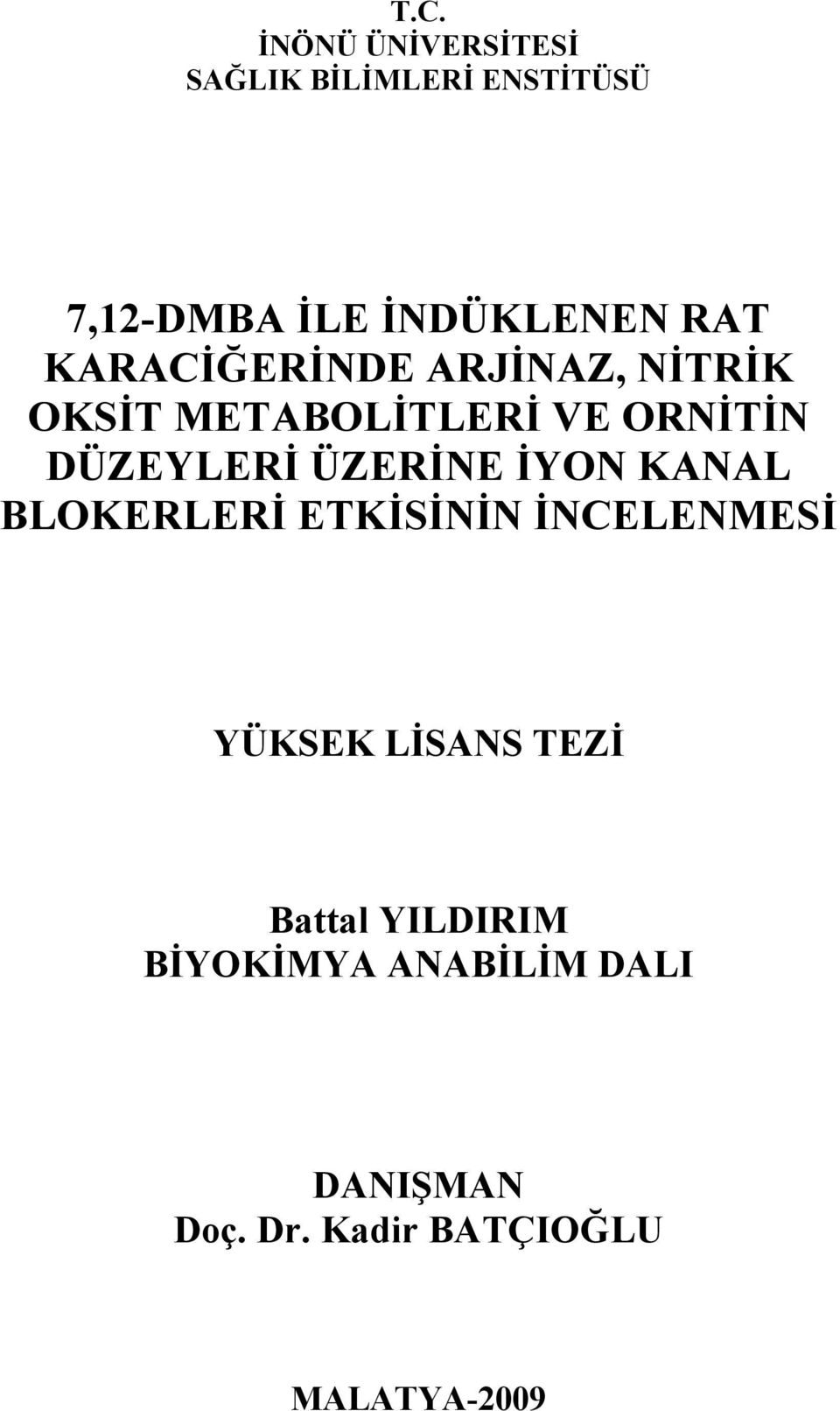 ÜZERİNE İYON KANAL BLOKERLERİ ETKİSİNİN İNCELENMESİ YÜKSEK LİSANS TEZİ