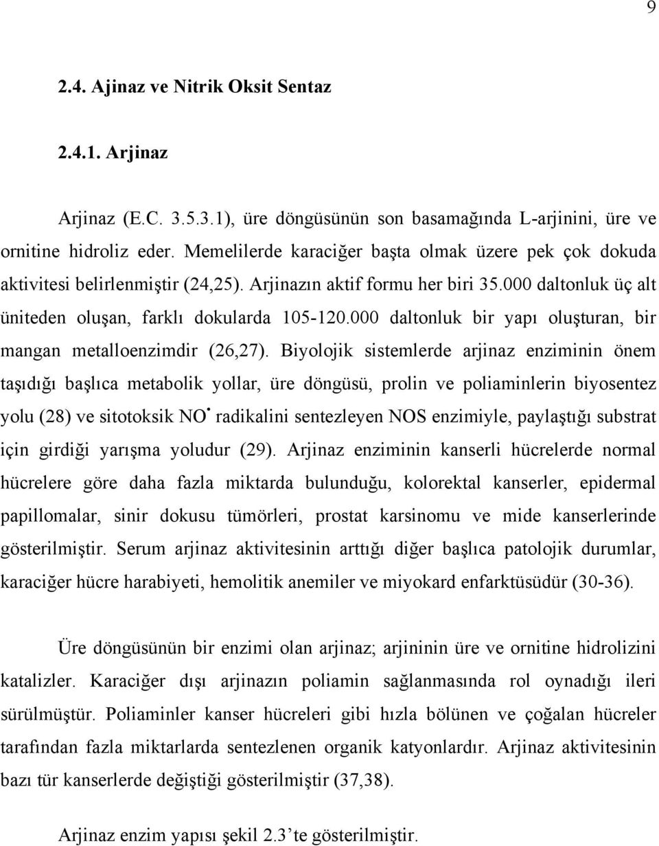 000 daltonluk bir yapı oluşturan, bir mangan metalloenzimdir (26,27).