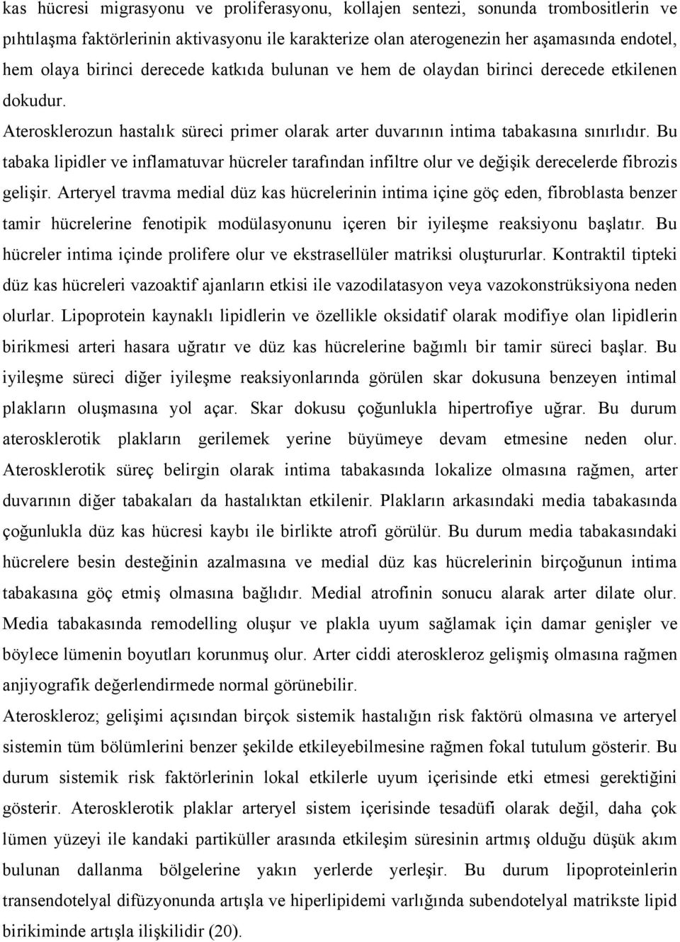 Bu tabaka lipidler ve inflamatuvar hücreler tarafından infiltre olur ve değişik derecelerde fibrozis gelişir.