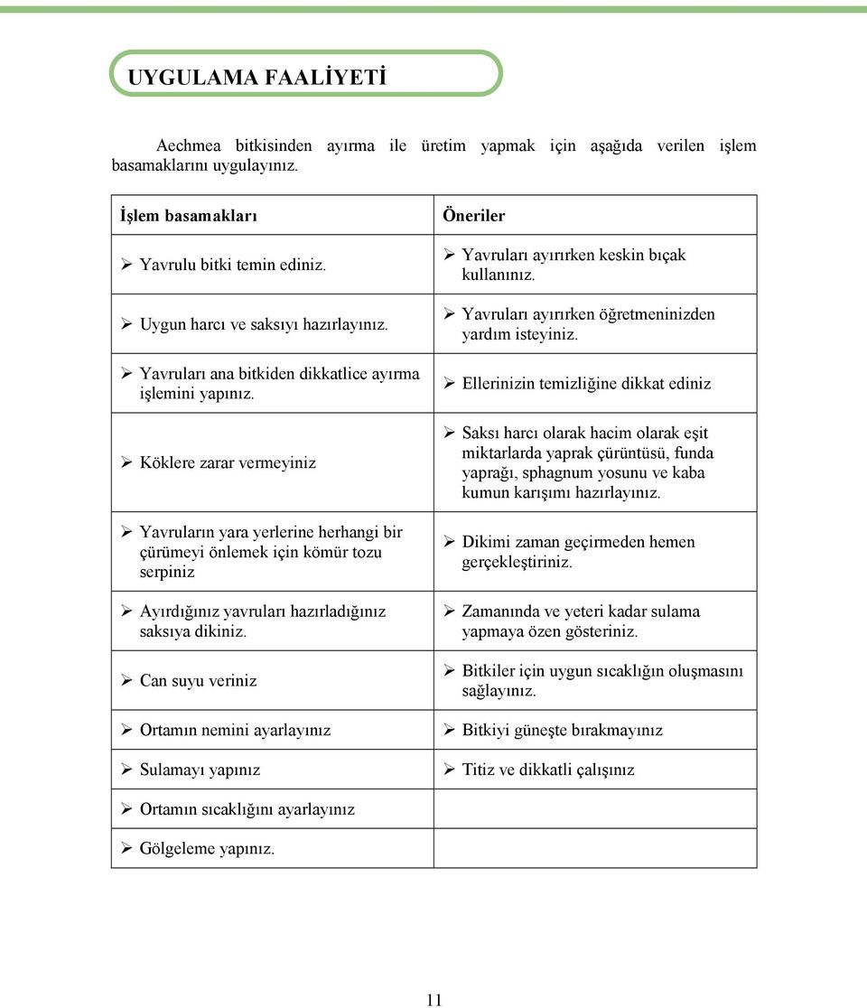 Ellerinizin temizliğine dikkat ediniz Köklere zarar vermeyiniz Saksı harcı olarak hacim olarak eşit miktarlarda yaprak çürüntüsü, funda yaprağı, sphagnum yosunu ve kaba kumun karışımı hazırlayınız.