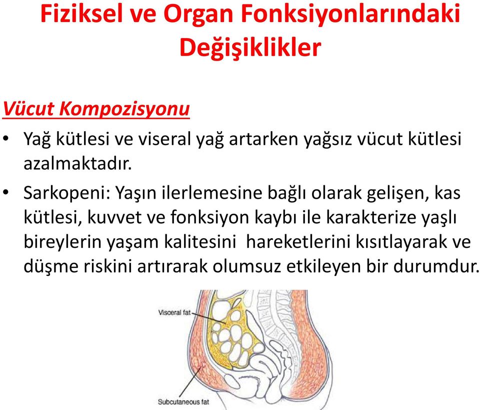 Sarkopeni: Yaşın ilerlemesine bağlı olarak gelişen, kas Sarkopeni: Yaşın ilerlemesine bağlı olarak