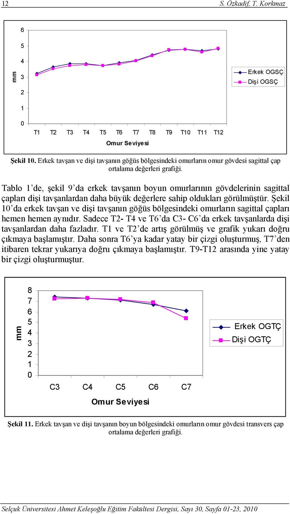 değerlere sahip oldukları görülmüştür. Şekil 1 da erkek tavşan ve dişi tavşanın göğüs bölgesindeki omurların sagittal çapları hemen hemen aynıdır.