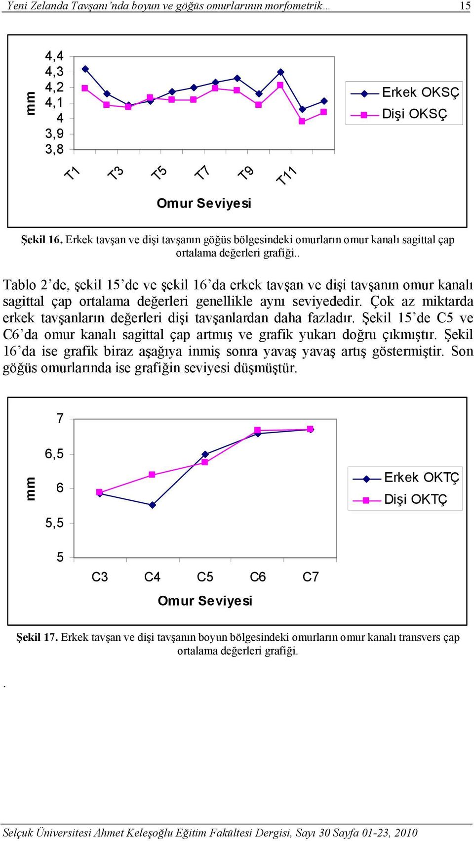 Tablo 2 de, şekil 15 de ve şekil 16 da erkek tavşan ve dişi tavşanın omur kanalı sagittal çap ortalama değerleri genellikle aynı seviyededir.