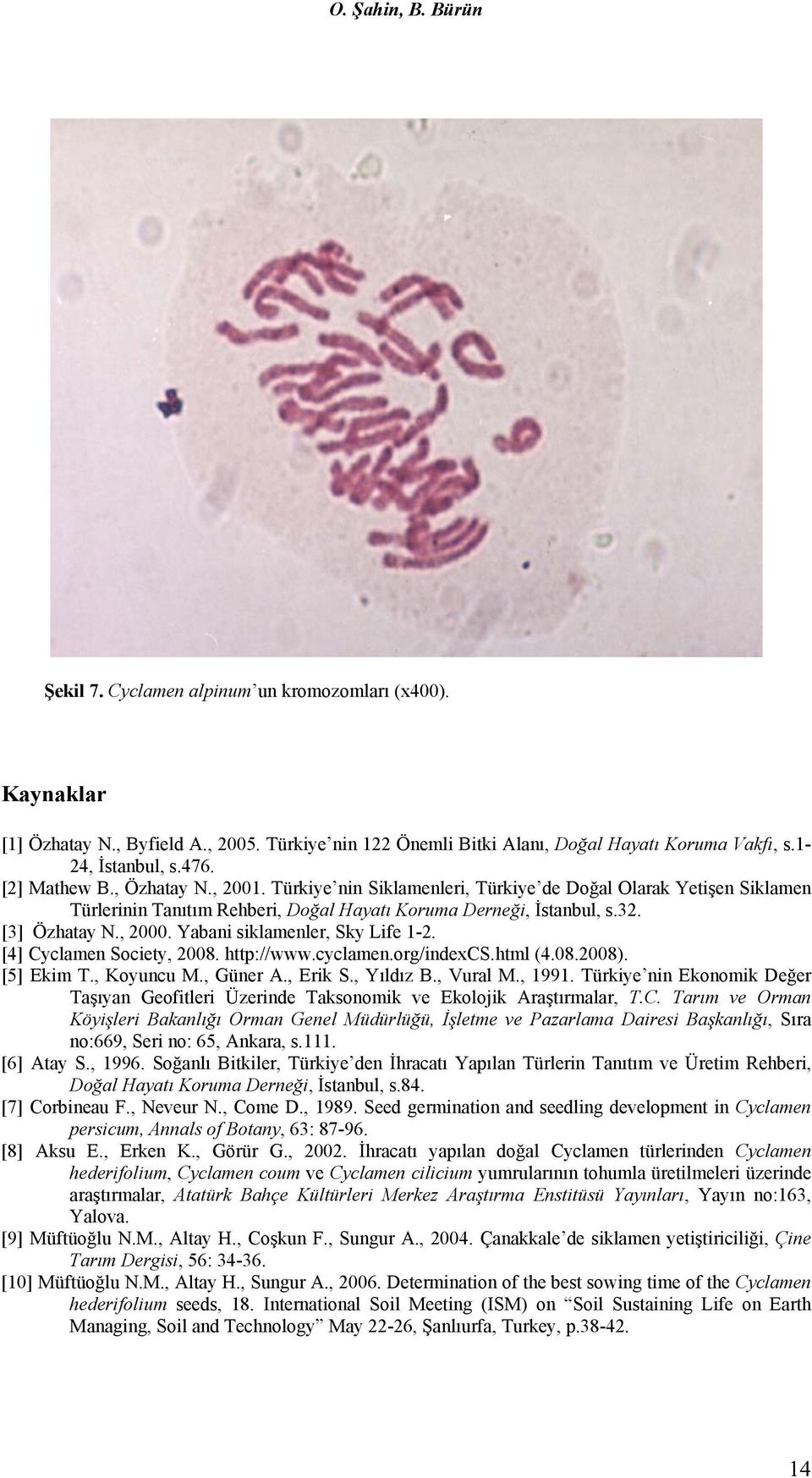 Yabani siklamenler, Sky Life 1-2. [4] Cyclamen Society, 2008. http://www.cyclamen.org/indexcs.html (4.08.2008). [5] Ekim T., Koyuncu M., Güner A., Erik S., Yıldız B., Vural M., 1991.
