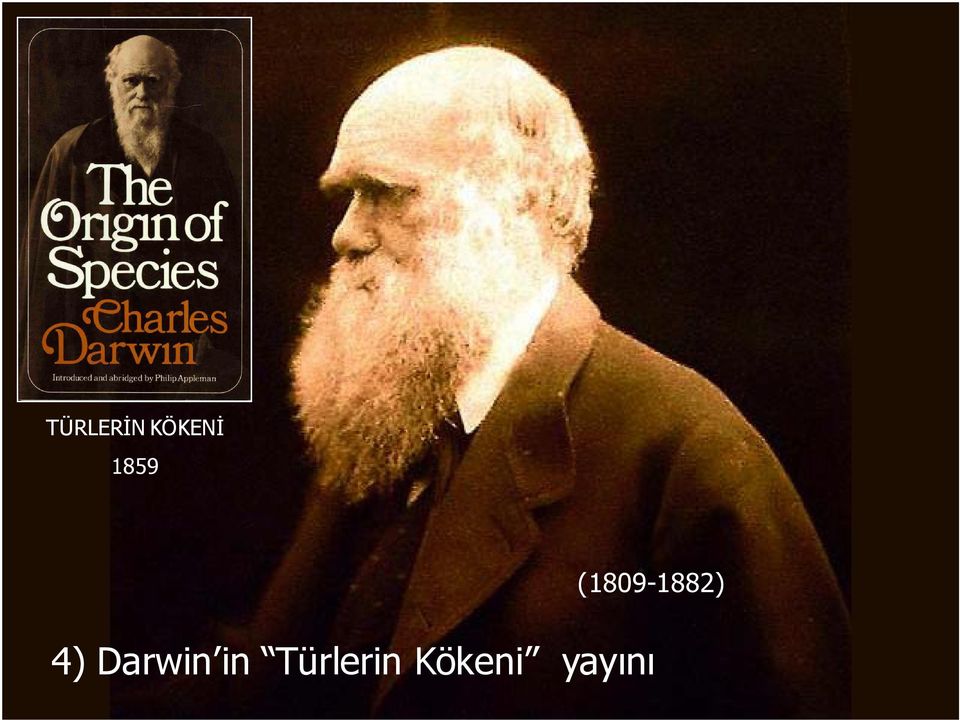 4) Darwin in