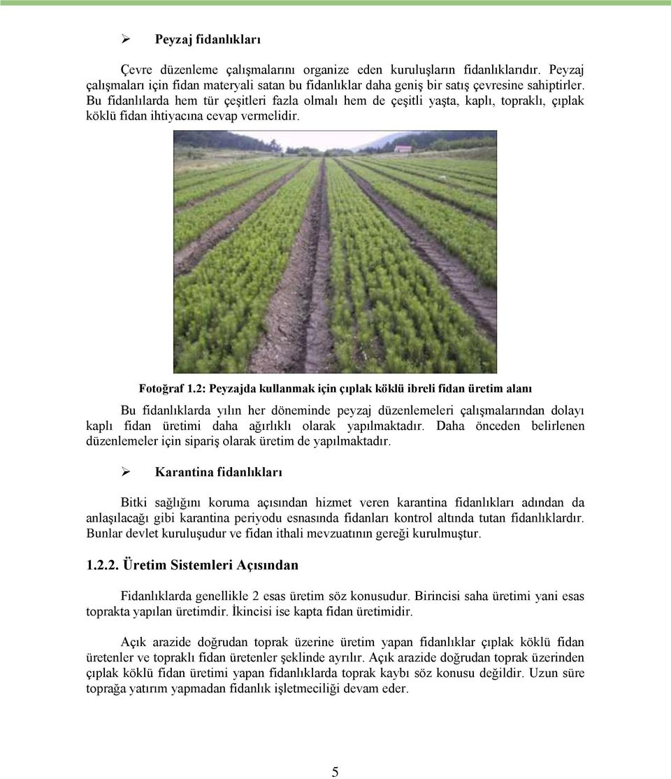 2: Peyzajda kullanmak için çıplak köklü ibreli fidan üretim alanı Bu fidanlıklarda yılın her döneminde peyzaj düzenlemeleri çalışmalarından dolayı kaplı fidan üretimi daha ağırlıklı olarak