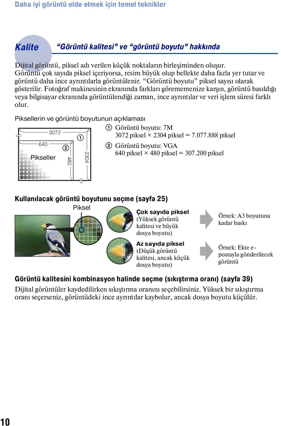 Fotoğraf makinesinin ekranında farkları görememenize karşın, görüntü basıldığı veya bilgisayar ekranında görüntülendiği zaman, ince ayrıntılar ve veri işlem süresi farklı olur.