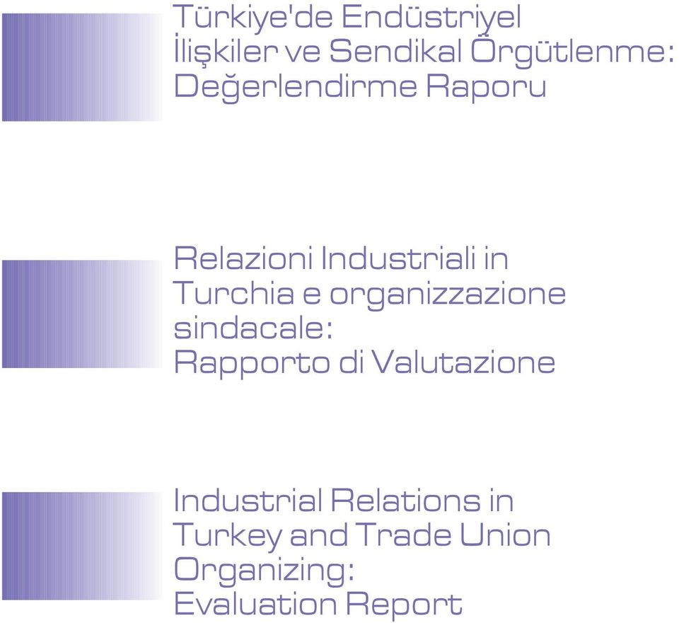 organizzazione sindacale: Rapporto di Valutazione