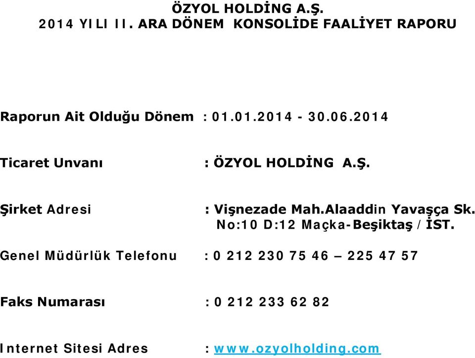 2014 Ticaret Unvanı : ÖZYOL HOLDİNG A.Ş. Şirket Adresi : Vişnezade Mah.Alaaddin Yavaşça Sk.