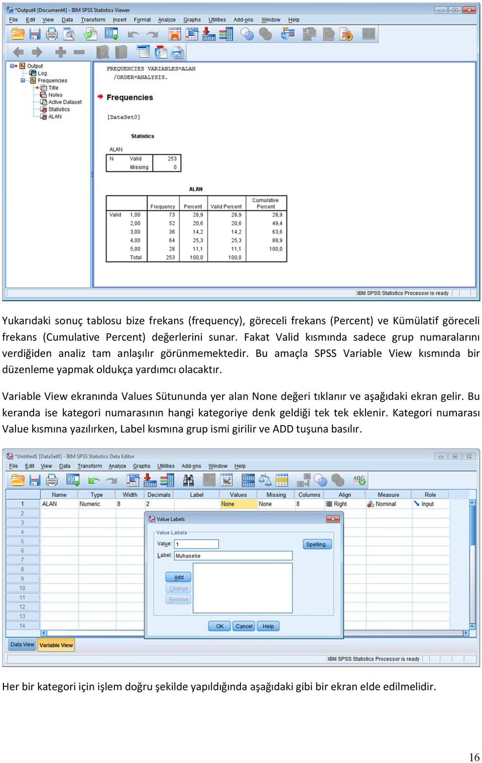 Bu amaçla SPSS Variable View kısmında bir düzenleme yapmak oldukça yardımcı olacaktır.