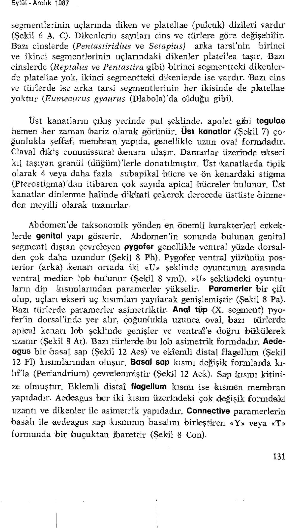 Bazı cinslerde (Reptalus ve Pentastira gibi) birinci segmentteki dikenlerde platellae yok, ikinci segmentteki dikenlerde ise vardır.